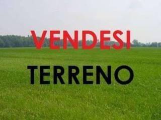 casa indipendente in vendita a Valenza