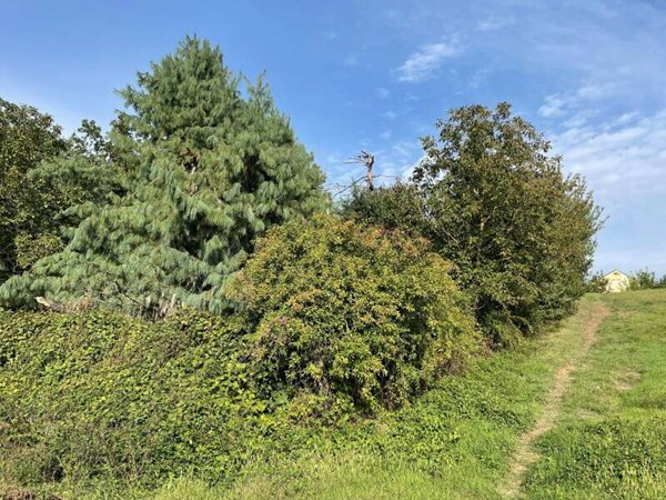 rudere in vendita a Valenza