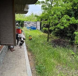 pentavano in vendita a Valenza