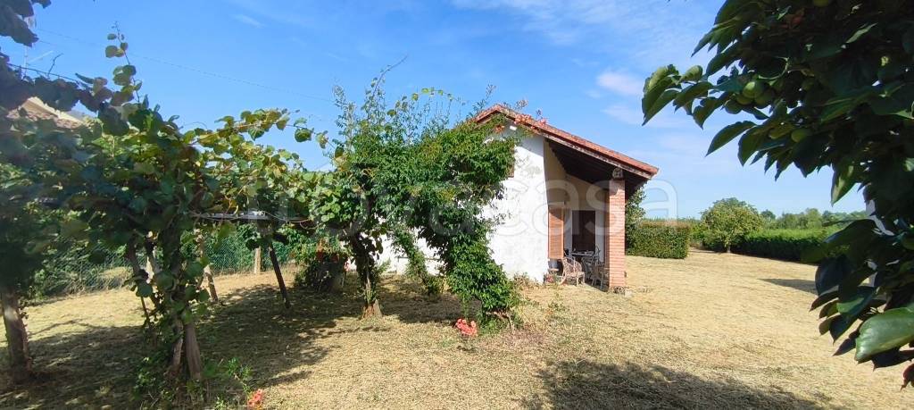 casa indipendente in vendita a Valenza