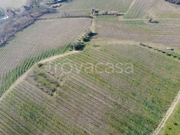 terreno agricolo in vendita a Vignale Monferrato