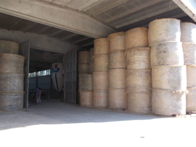 azienda agricola in vendita a Vignale Monferrato