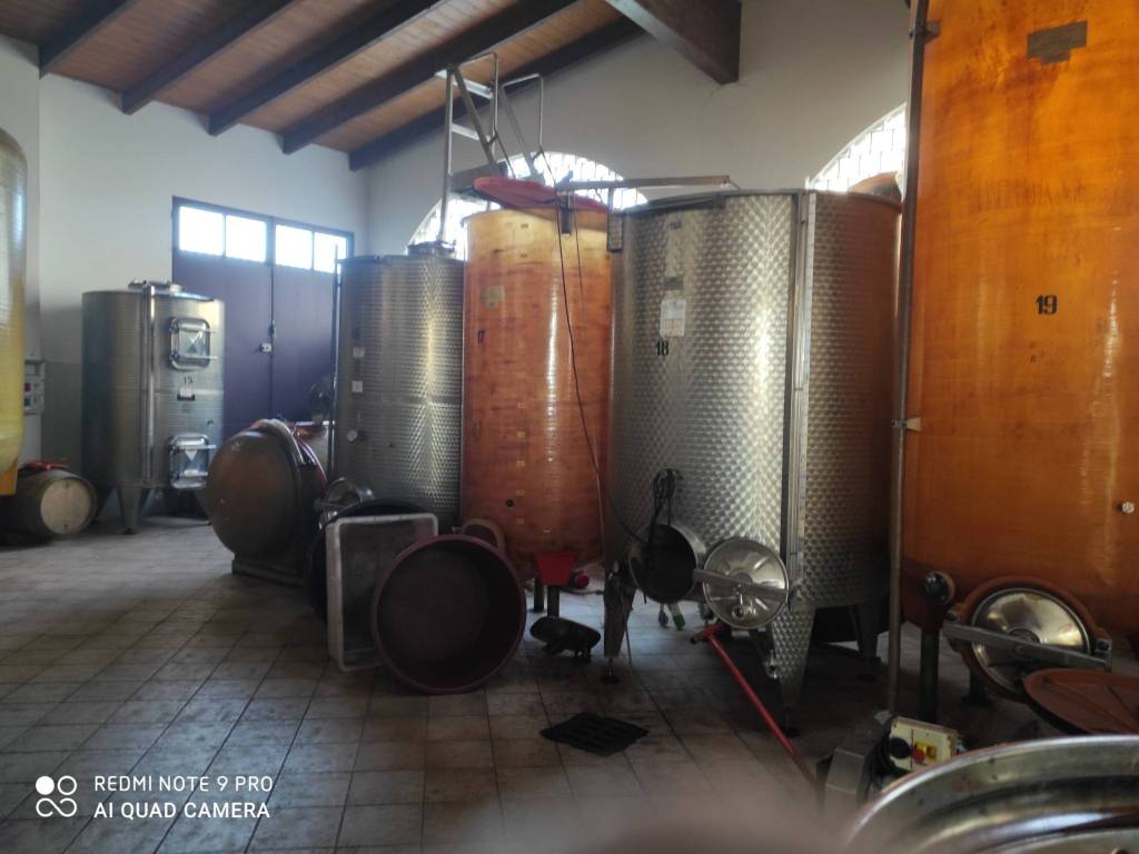 negozio in vendita a Vignale Monferrato