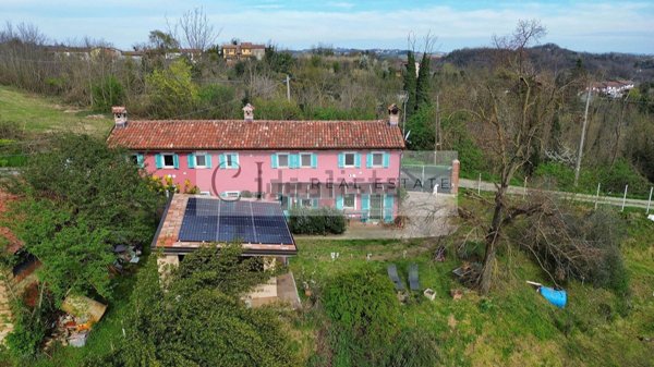 esavano in vendita a Vignale Monferrato