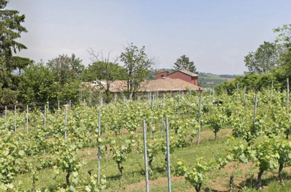 casa indipendente in vendita a Vignale Monferrato