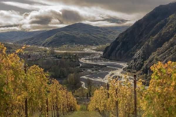 negozio in vendita a Vignole Borbera