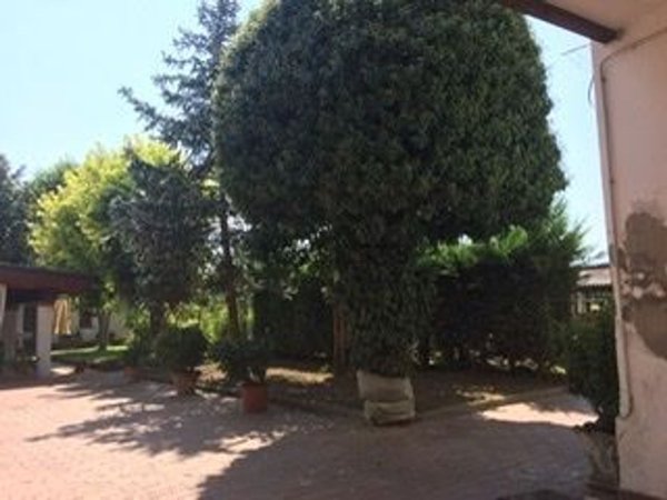 casa indipendente in vendita a Viguzzolo