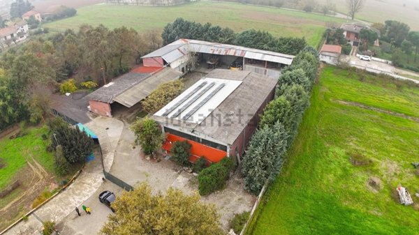 capannone in vendita a Viguzzolo
