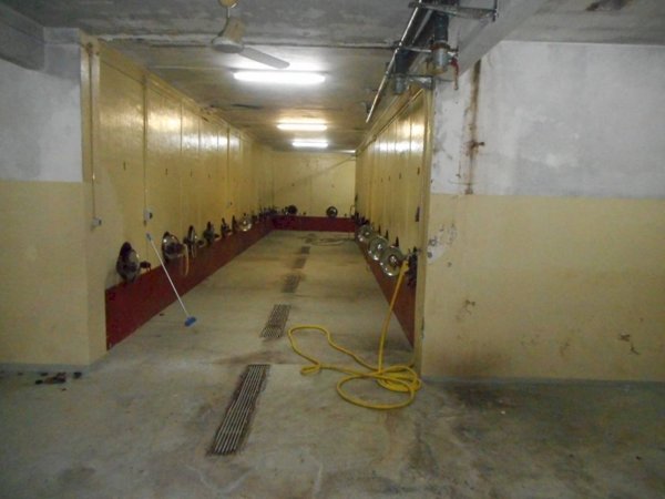 casa indipendente in vendita a Viguzzolo