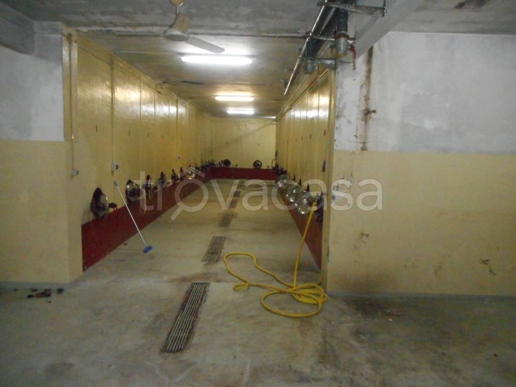 casa indipendente in vendita a Viguzzolo