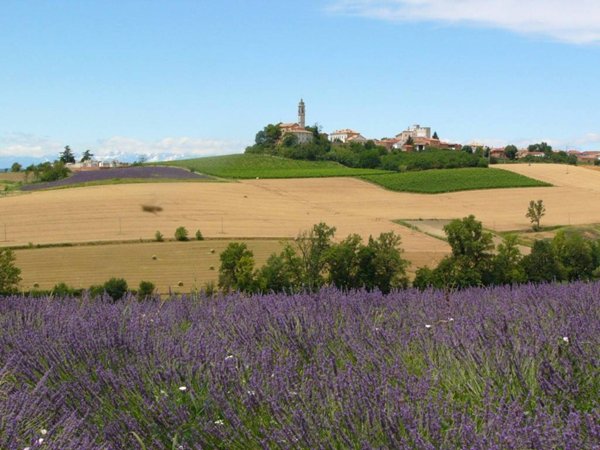 appartamento in vendita a Villadeati in zona Trittango