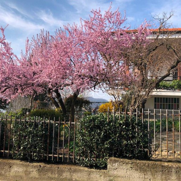 casa indipendente in vendita a Villadeati