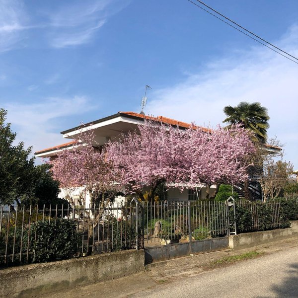 casa indipendente in vendita a Villadeati