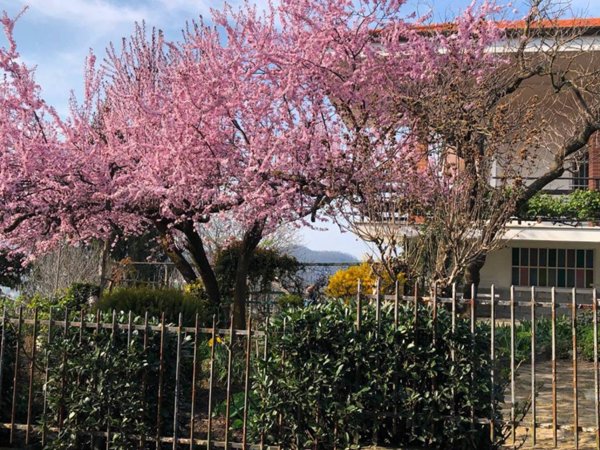 casa indipendente in vendita a Villadeati