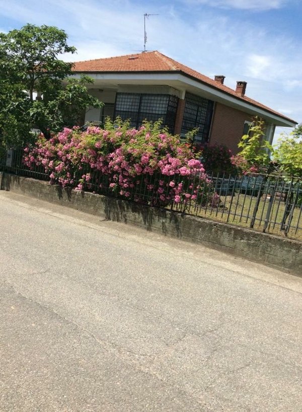 appartamento in vendita a Villadeati