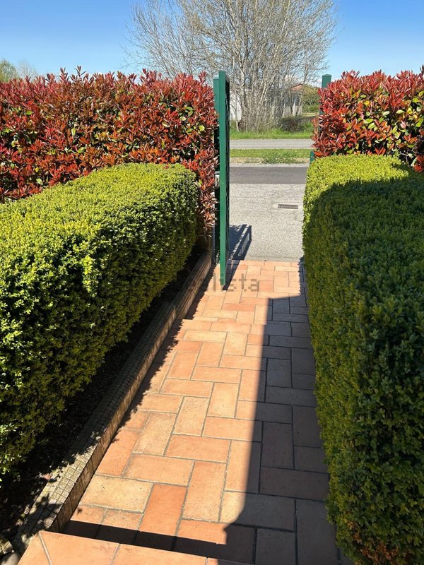 appartamento in vendita a Villanova Monferrato