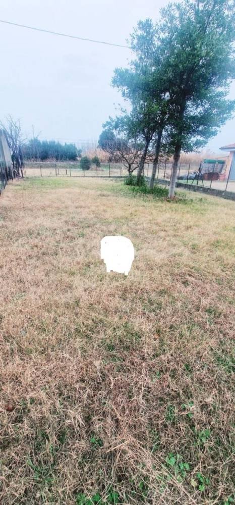 appartamento in vendita a Bellaria-Igea Marina in zona Igea Marina