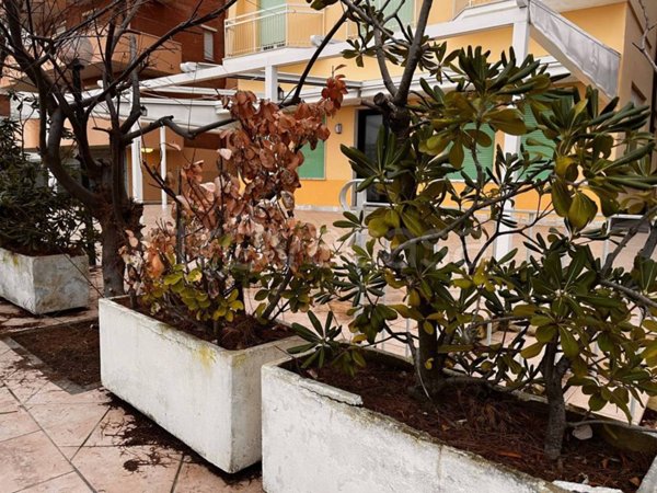 negozio in vendita a Bellaria-Igea Marina in zona Bellaria