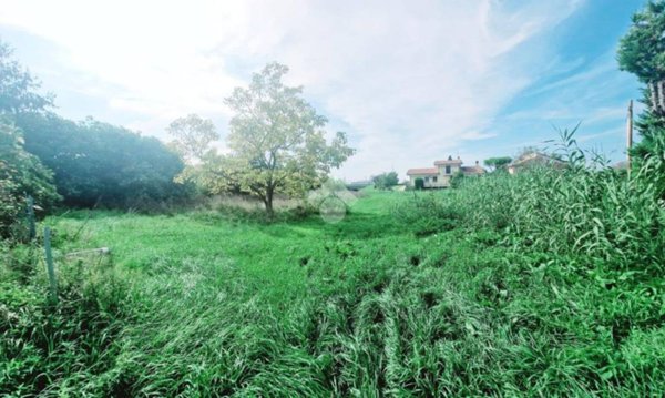 terreno agricolo in vendita a Bellaria-Igea Marina