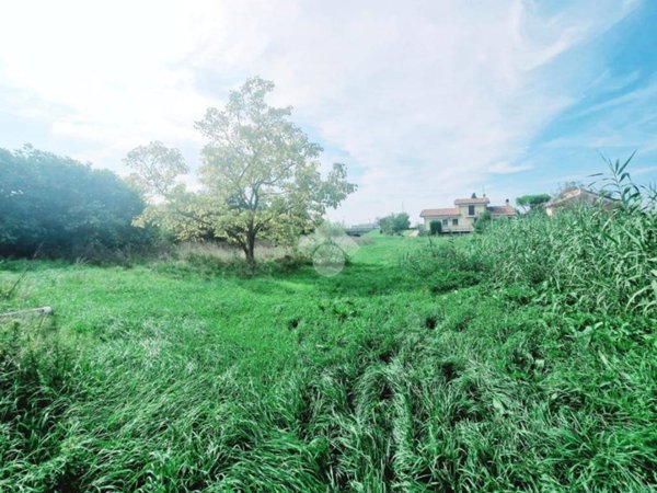 terreno agricolo in vendita a Bellaria-Igea Marina