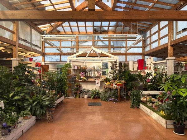 terreno edificabile in vendita a Bellaria-Igea Marina in zona Bellaria