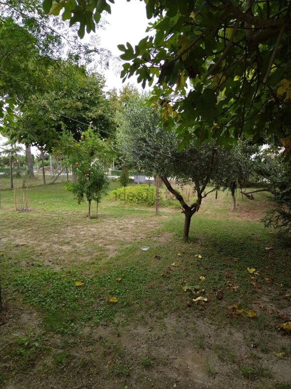appartamento in vendita a Bellaria-Igea Marina