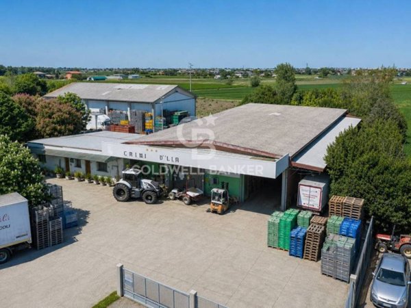 negozio in vendita a Bellaria-Igea Marina