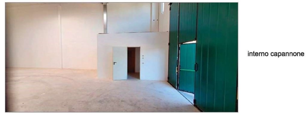 appartamento in vendita a Cattolica