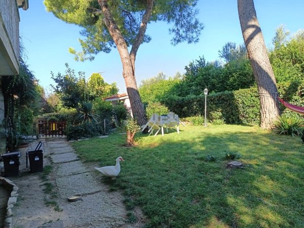 casa indipendente in vendita a Cattolica