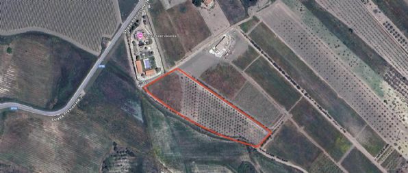 terreno agricolo in vendita a Cattolica