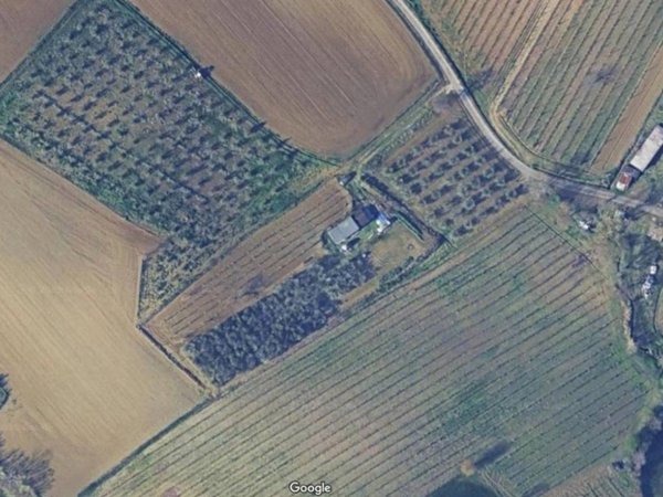 terreno agricolo in vendita a Coriano