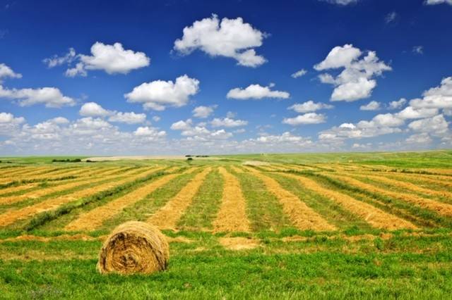 terreno agricolo in vendita a Coriano in zona Ospedaletto