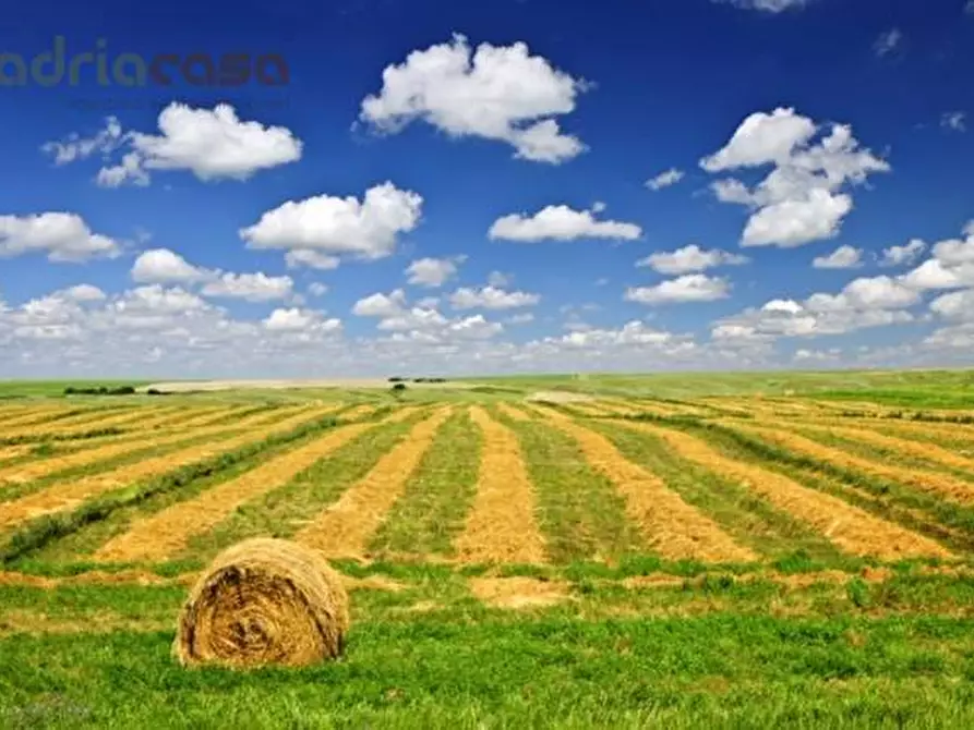 terreno agricolo in vendita a Coriano in zona Ospedaletto