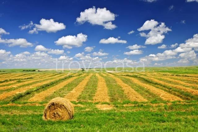 terreno agricolo in vendita a Coriano in zona Ospedaletto