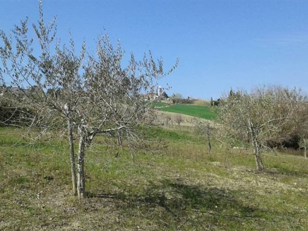 terreno agricolo in vendita a Coriano