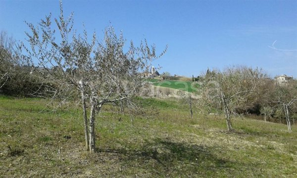 terreno agricolo in vendita a Coriano