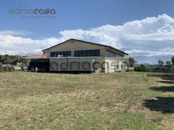 capannone in vendita a Coriano in zona Sant'Andrea in Besanigo