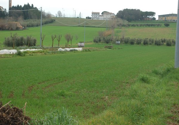 terreno agricolo in vendita a Coriano in zona Sant'Andrea in Besanigo