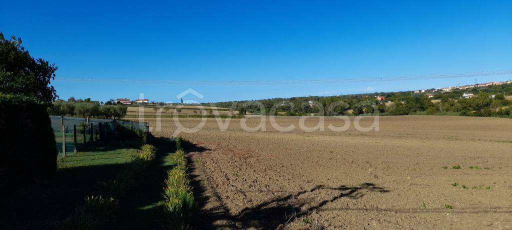 terreno agricolo in vendita a Coriano