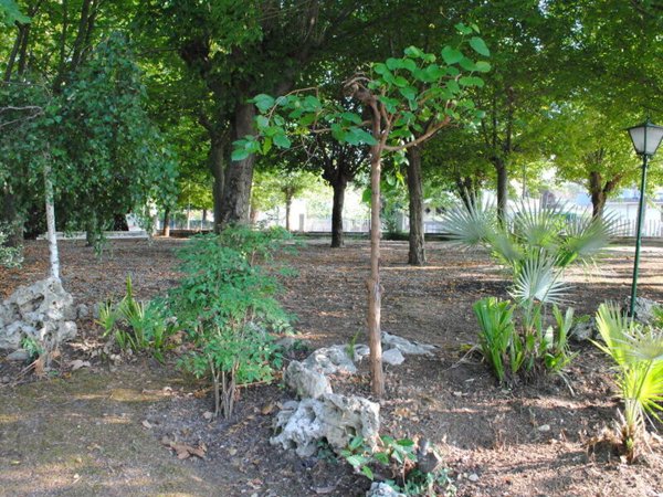 terreno edificabile in vendita a Coriano