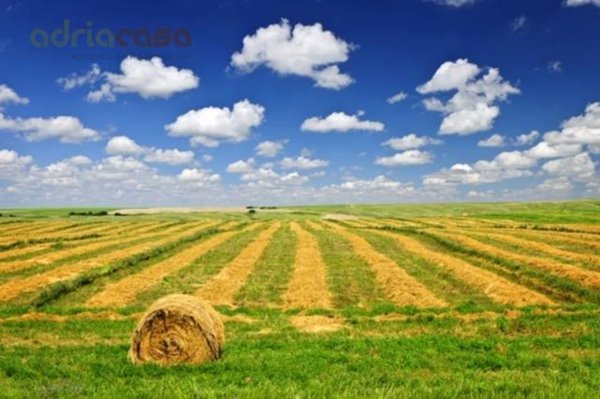 terreno agricolo in vendita a Coriano in zona Ospedaletto