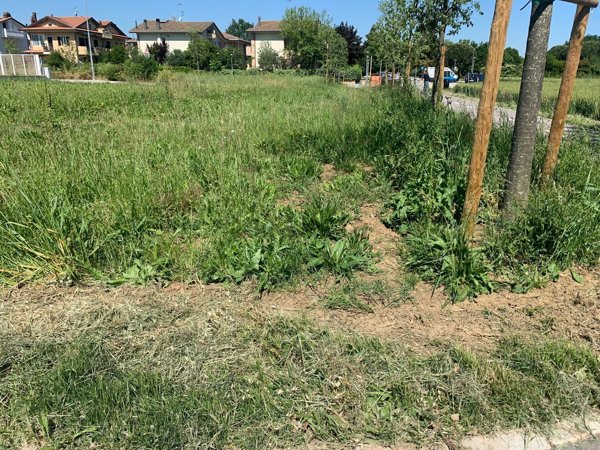 casa indipendente in vendita a Coriano in zona Sant'Andrea in Besanigo