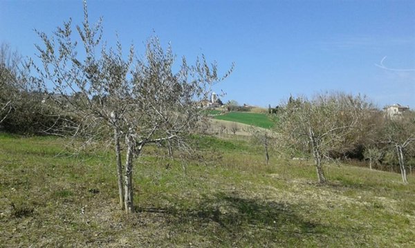 terreno agricolo in vendita a Coriano
