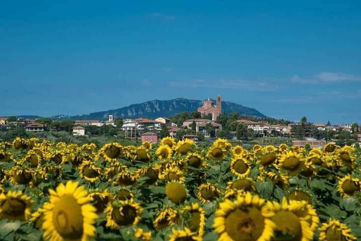 appartamento in vendita a Coriano in zona Sant'Andrea in Besanigo