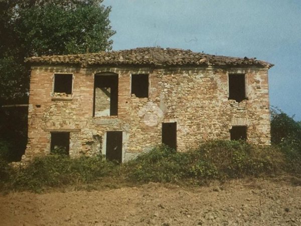 esavano in vendita a Coriano