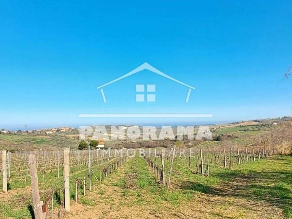 terreno agricolo in vendita a Coriano