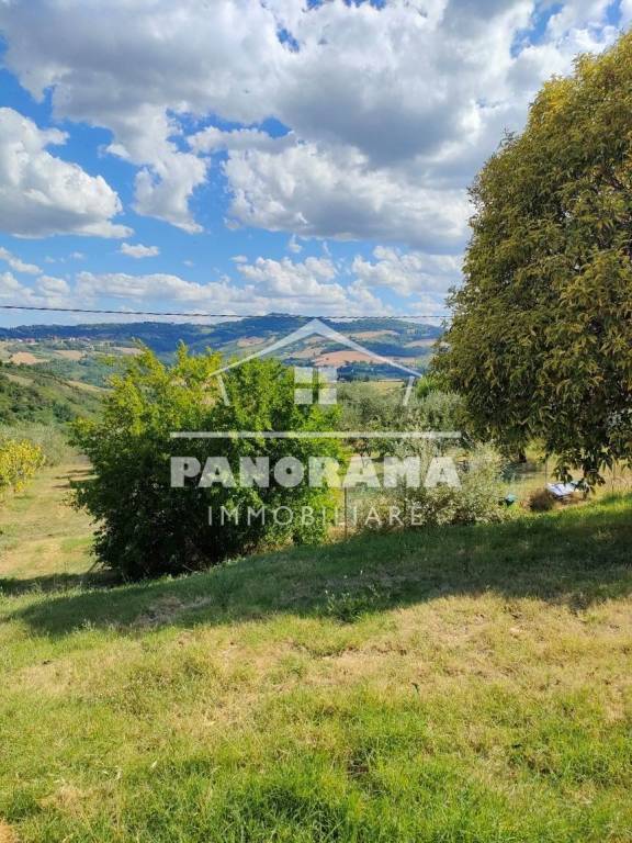 terreno agricolo in vendita a Coriano in zona Mulazzano