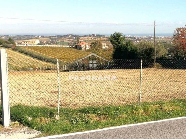 terreno agricolo in vendita a Coriano in zona Ospedaletto