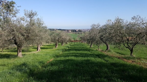 terreno agricolo in vendita a Coriano