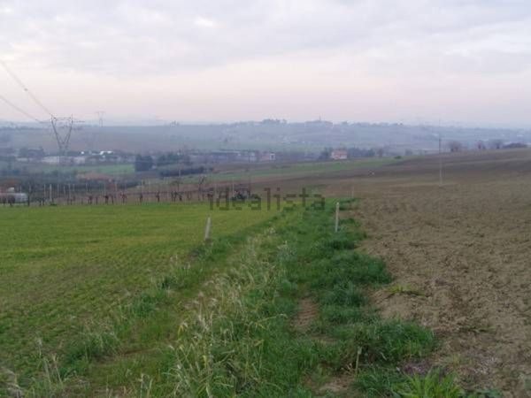 terreno agricolo in vendita a Coriano